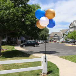Balloon Bobber 6 Balloon Cluster Kit with Ground Stake